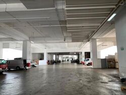 North Spring Bizhub (D27), Factory #621523181